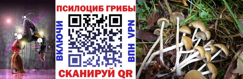 Псилоцибиновые грибы MAGIC MUSHROOMS  Абаза 